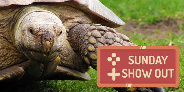 Sunday Show Out - 2/22/2026