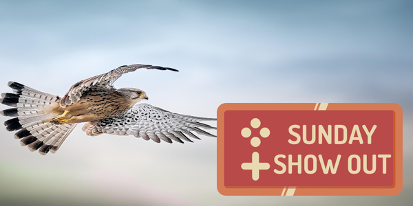 Sunday Show Out - 03/01/2026